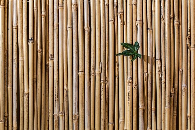 Bamboo Fencing QLD